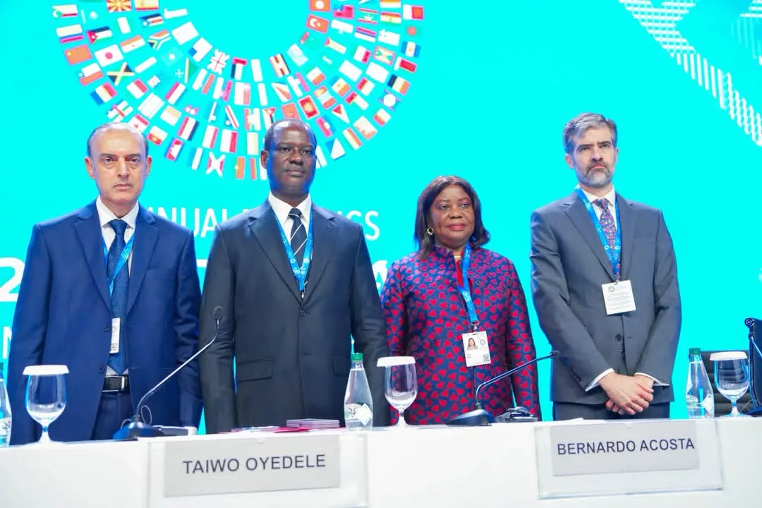 Oyedele Chairs G-24 Call for Fairer Global Financial System, Affordable Development Financing